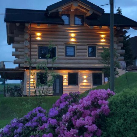 Fichtenhaus Am Wisentpfad Bad Berleburg Ngoại thất bức ảnh