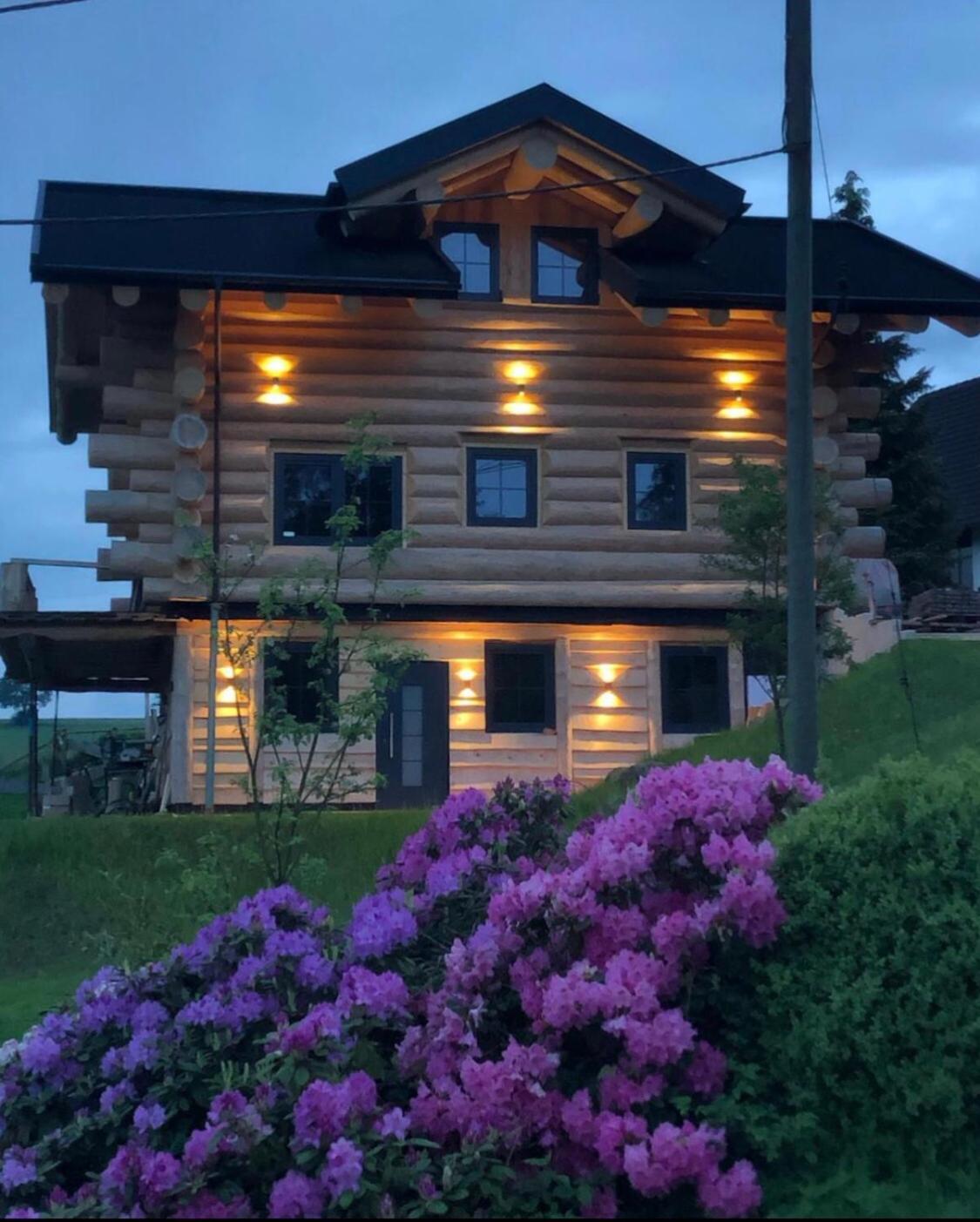 Fichtenhaus Am Wisentpfad Bad Berleburg Ngoại thất bức ảnh