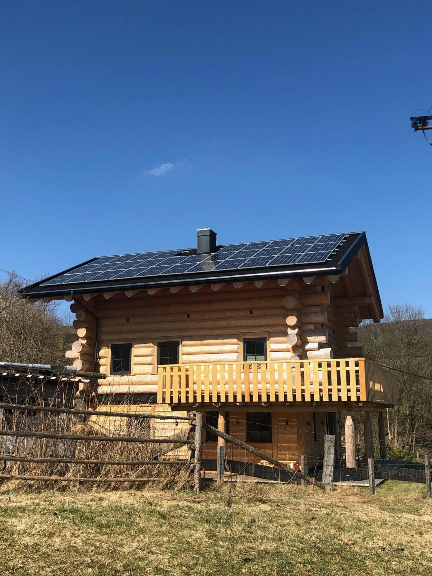 Fichtenhaus Am Wisentpfad Bad Berleburg Ngoại thất bức ảnh