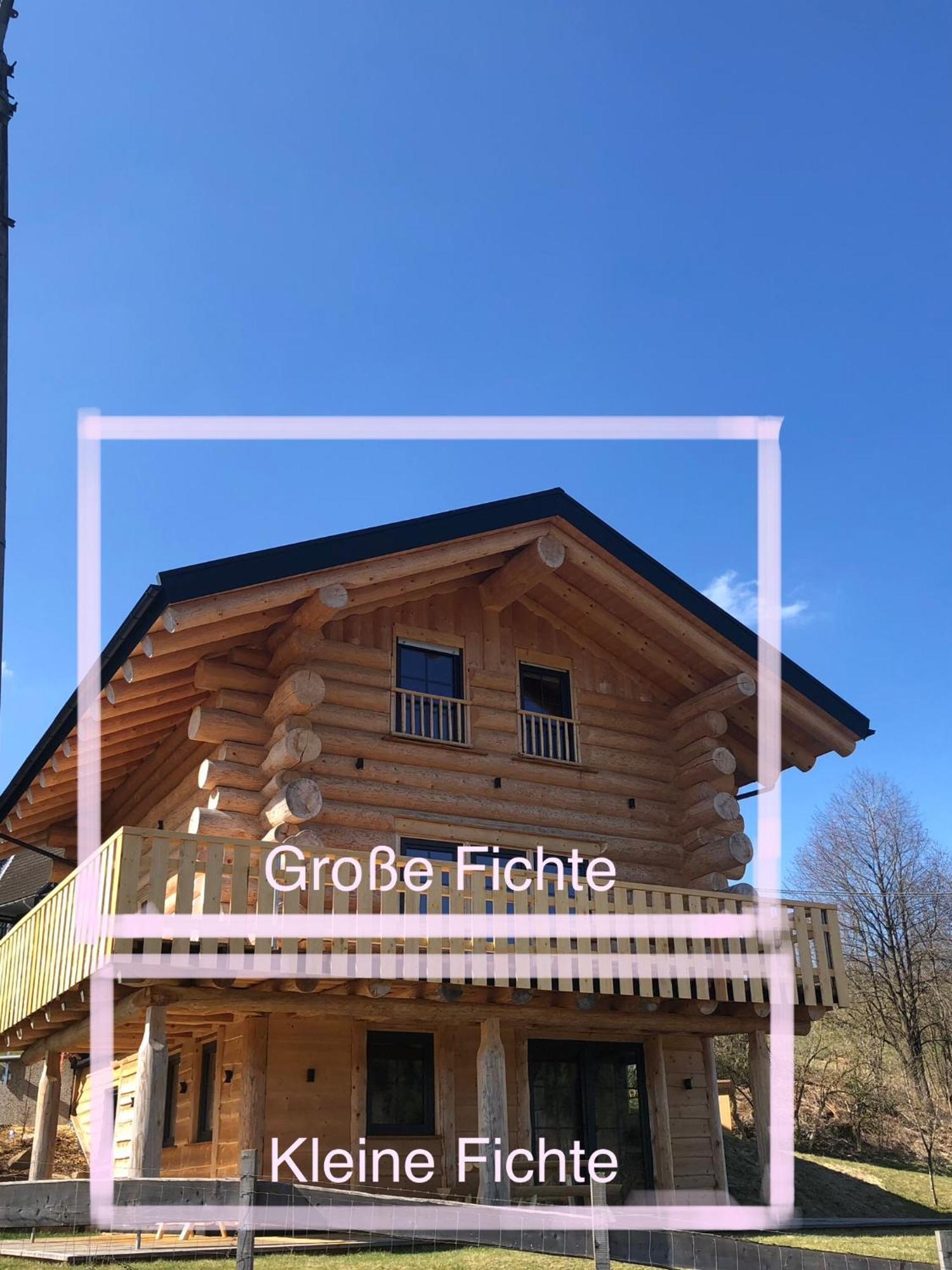 Fichtenhaus Am Wisentpfad Bad Berleburg Ngoại thất bức ảnh